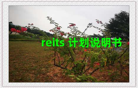 reits 计划说明书